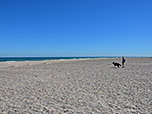 Wir gehen über den Strand zum Wasser...