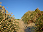 ...zur mit Strandhafer bewachsenen Senke