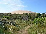 ...und erkennen vor uns die Wanderdüne