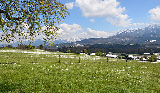 Guglhör-Rundweg