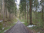 Wir erreichen einen Wald