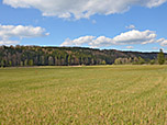 Blick zurück zum Höhenrücken