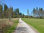 Im Anschluss wandern wir auf ein Waldstück zu