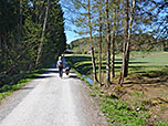 Wir verlassen den Wald, ...