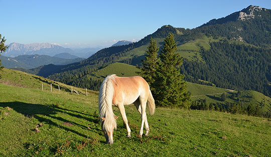 Wandern rund um  Bad Feilnbach