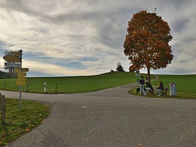 Geradeaus über die Kreuzung geht es weiter zum Aussichtspunkt... 