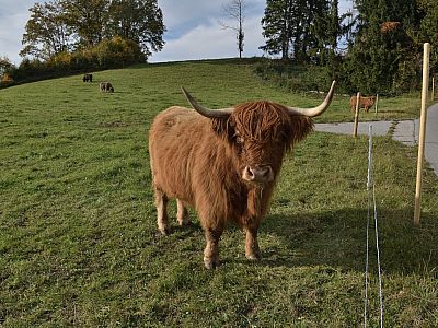 Auch die Mama ist nicht weit