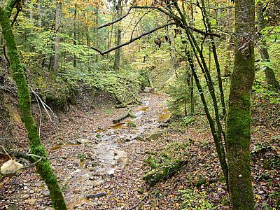 Am tiefsten Punkt des Tals überqueren wir den Röthengraben