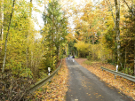 Nach dem Röthengraben tauchen wir in den Wald ein