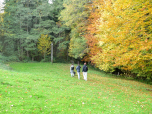 Über eine Wiese erreichen wir den Wald
