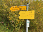 Über Leiten geht es weiter nach Obholz