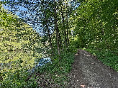 Der schöne Wegabschnitt...