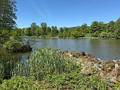 ...mit Blick auf die Altmühl