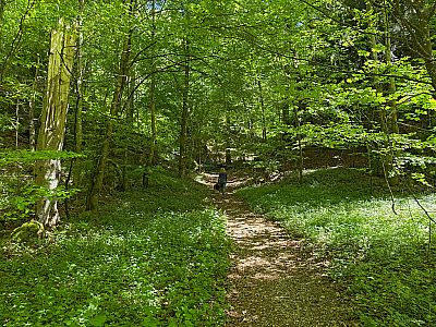 In diesen schwenken wir rechtshaltend ein...