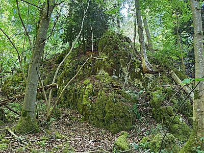 ...und passieren moosbewachsene Felsformationen