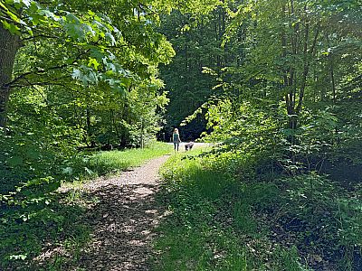 Wir stoßen auf einen Querweg...