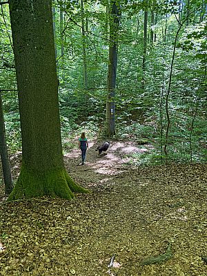 Es folgt ein Auf und Ab...