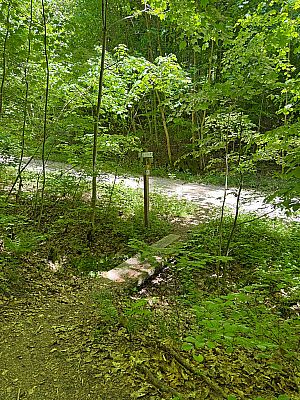 ...folgt ein kurzer Abstieg