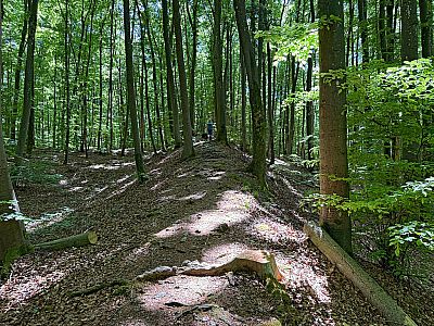 ...geht es ein letztes Mal auf den Keltenwall