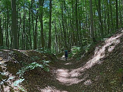 Zu guter Letzt verlassen wir den Keltenwall rechtshaltend...