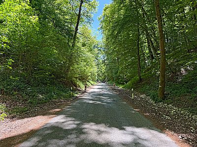 ...und wandern zu einer Straße hinunter