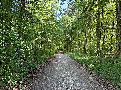 Nach einem Abstieg...