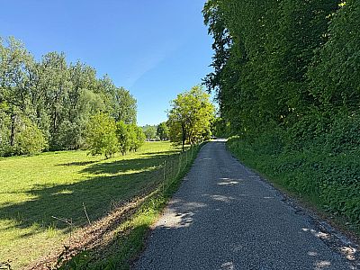 Wir entfernen uns ein Stück von der Donau...