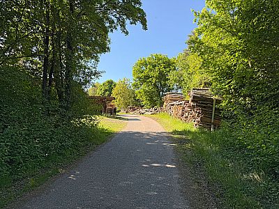...biegen wir in den Altessinger Weg ein