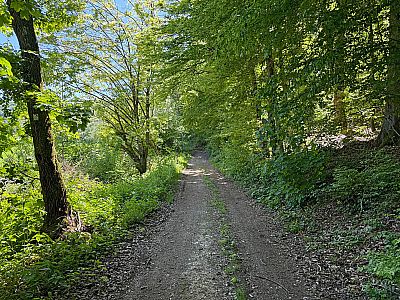 Diese verlassen wir bald darauf rechtshaltend