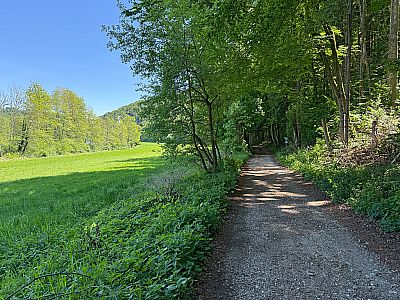 Nach einer Lichtung...