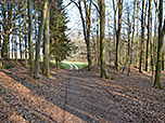 Wir wandern abwechselnd durch Wald...
