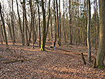 ...und erreichen über schmale Waldwege...