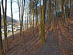Der Waldweg bringt uns wieder hinunter nach Kelheim
