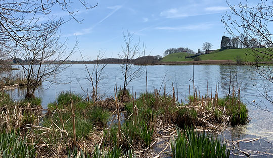 Von der Ludwigshöhe durch den Ebersberger Forst zum Forsthaus St. Hubertus