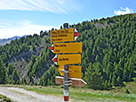Wir halten an der ersten Verzweigung nach der Alpe unsere Grundrichtung bei...