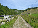 Über einen Karrenweg gewinnen wir die ersten Höhenmeter
