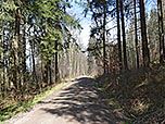 Wir wandern am Sandberg vorbei...
