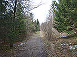 ...und erreichen über einen Waldweg...