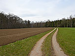 Nach Fang steuern wir auf den Wald zu...