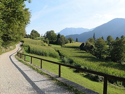 Weitgehend eben zieht sich die Straße durch die liebliche Landschaft