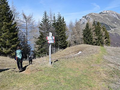 Hier biegen wir links auf den Sentiero del Ventrar ab