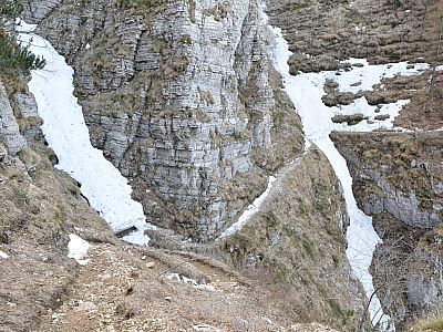 Im Frühling ist an den Schneezungen Vorsicht geboten!