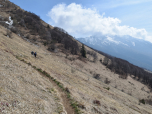 Bequem und leicht ansteigend wandern wir nach Süden zurück zur Seilbahn