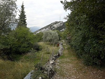 ... und folgen diesem ein Stück nach Norden.