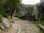 ... steigen wir auf der berühmten Strada Santa Lucia auf.