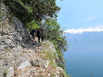 Noch ist der der Weg ausgesetzt, ...