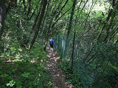 ... auf einen kleinen Pfad ab.