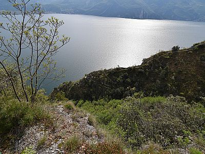 Der Zustieg zum Schmugglersteig von der Ponalestraße gesehen