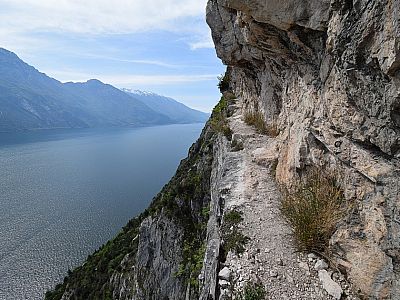 Gewohnt ausgesetzt geht es weiter 