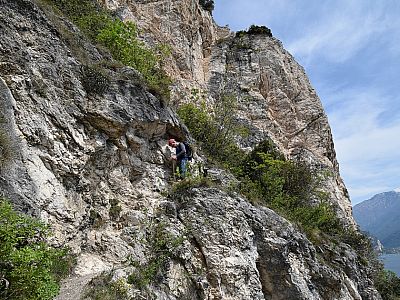 Es wird ein wenig grüner und...